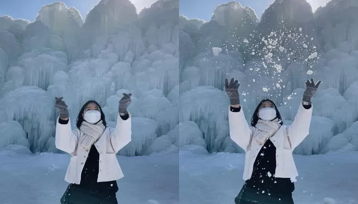 인사이트