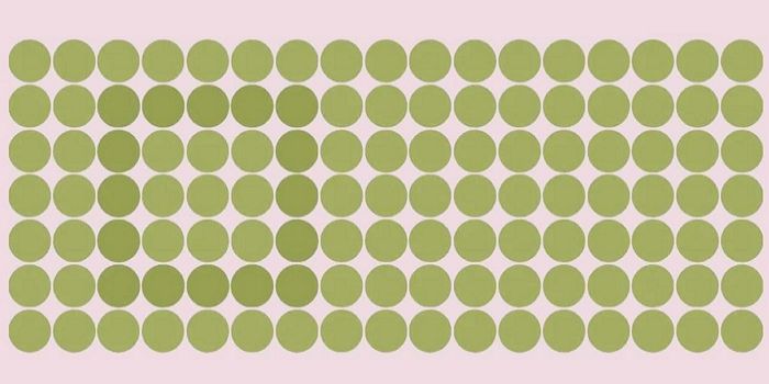 ‘10명 중 1명’만 맞힌다는 집중력 테스트...“원들 사이에 숨은 사각형이 보이나요?”