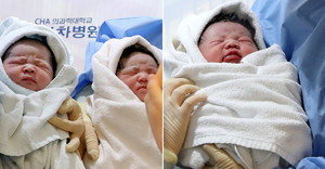 복동이 이미지