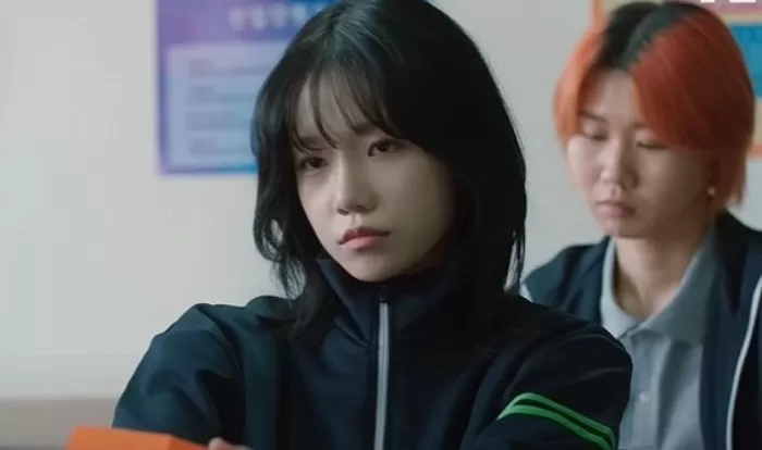 인사이트