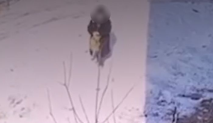 “패대기치고 밟고”...양구 고양이 학대범, 10살 초등학생이었다