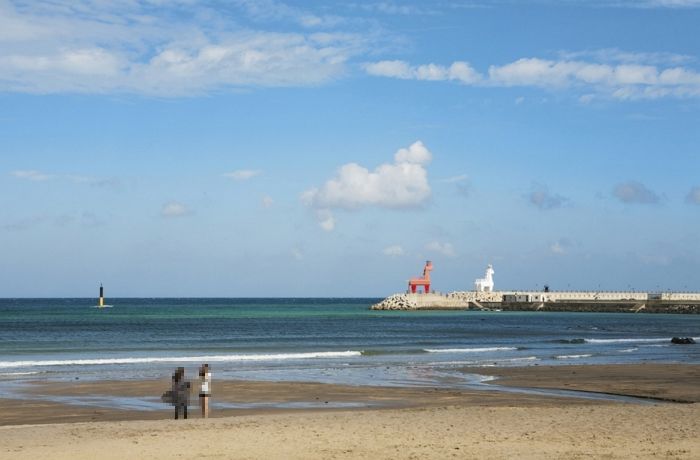 제주시 해안가서 젊은 여성 시신 발견...해경 수사 착수