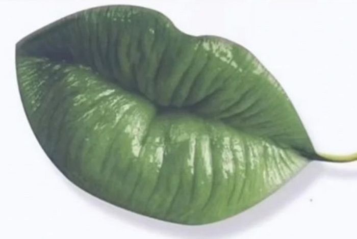 “입술 vs 나뭇잎”...그림 한 장으로 보는 당신의 ‘진짜 성격’