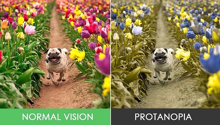 ‘적록색약’ 앓고 있는 ‘더 글로리’ 전재준이 보는 세상은 이렇게 다르다 (+사진)