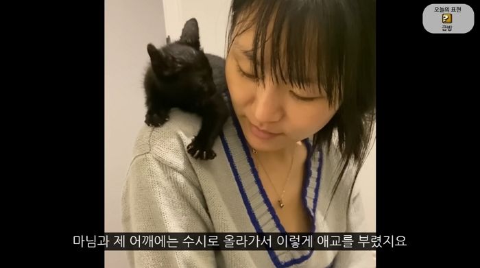 길고양이 주워 키웠다가 온 가족이 ‘피부병’ 옮은 유명 유튜버 근황 (영상)