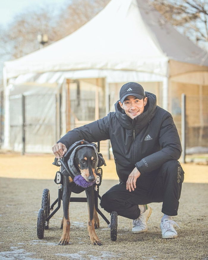 “우리 딸 장하다”...배정남, ‘전신마비’ 와 재활 중인 반려견 벨 근황 공개