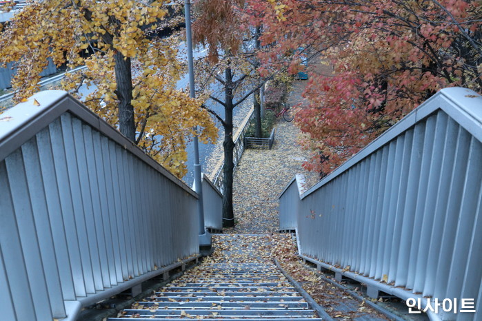 서울 한 육교서 ‘극단 선택’한 20대 男, 버스 정류장 위로 떨어져 극적 생존
