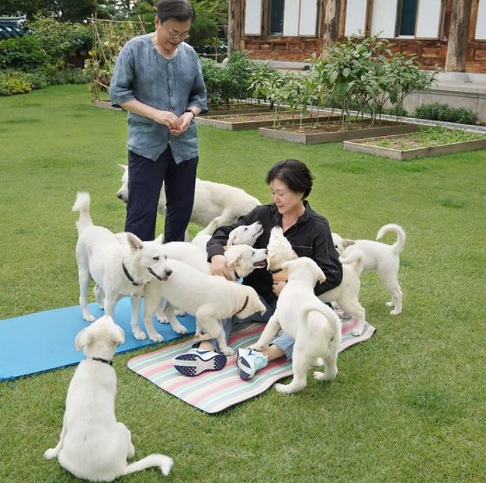 광주시, 문재인 전 대통령이 반납한 ‘풍산개’에 1억 5000만원 예산 책정
