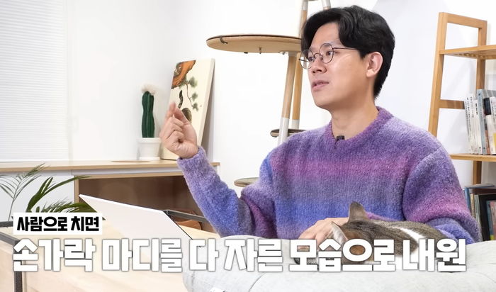 “유명 연예인이 동물병원에 데려온 반려 고양이...발가락이 다 잘려있었습니다”