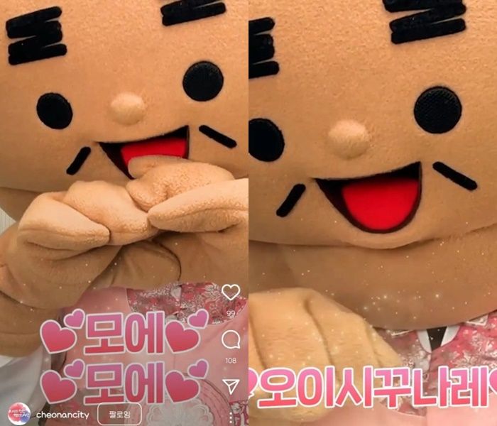 설날 인사로 한복 입고 ‘일본어 밈’ 쓰는 영상 올린 천안시 인스타