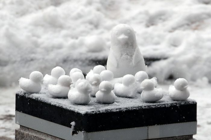 눈 오는 날이면 아파트 점령하는 눈오리 부대...“민폐다 vs 보기 좋다”