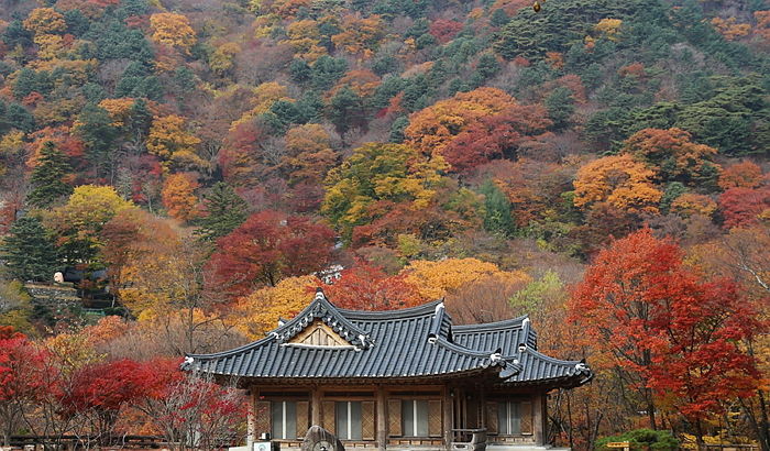 “해인사 스님들, 판돈 1천만원 걸고 윷놀이 해”...성추문에 이어 또 논란