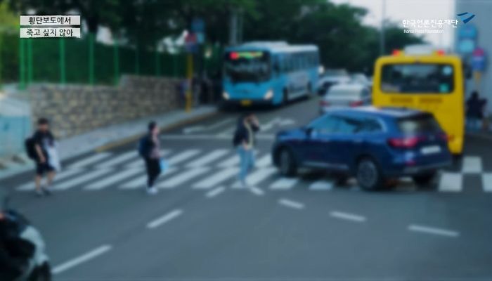 사람들 횡단보도 건너는데도 그냥 지나가는 부산 운전자들...어느 정도인가 봤더니 (영상)