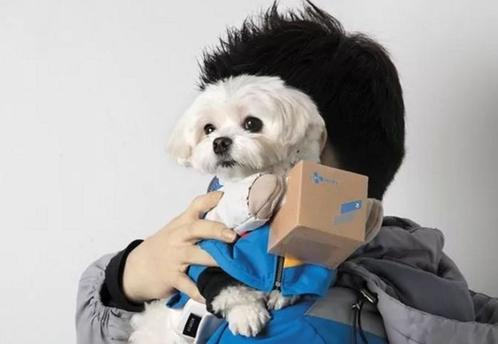 후원금 6억 챙긴 경태아부지...‘유기견 구조’부터 거짓이었다