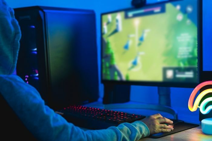 “한국말고 ‘대리게임’ 처벌하는 나라 없어...풀어주세요”...게임팬들 요구 커져