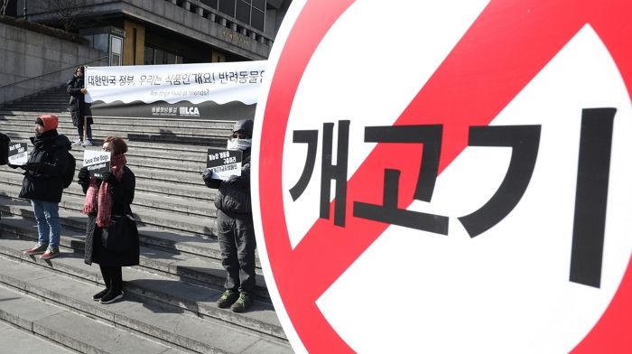 “개고기 먹는 동네서 오지 마”...동물보호단체 반대로 인천 학생들 美 어학연수 무산