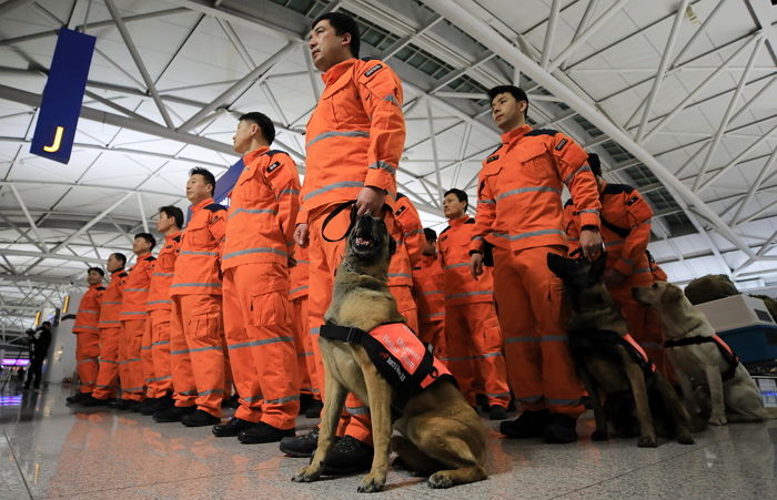 ‘붕대’ 감고 튀르키예 지진 현장 누비는 구조견들이 보호장비 착용하지 않는 이유