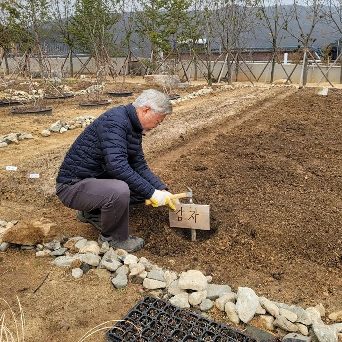 문재인 전 대통령, 감자 심는 사진 공개...“올해 첫 농사”