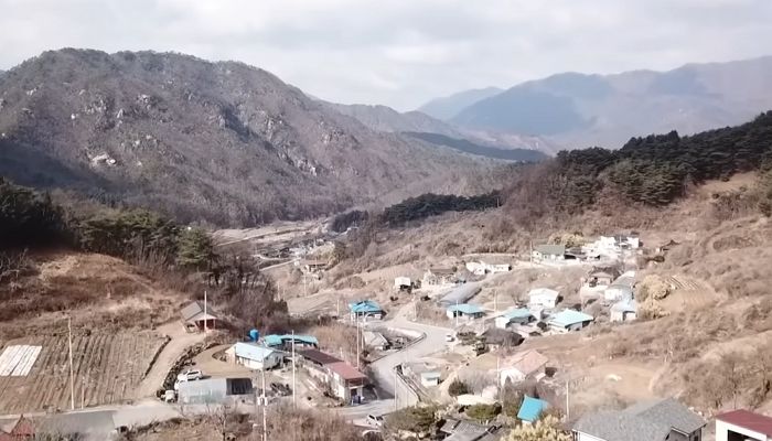 젊은 여성이 시골로 귀촌하려다 생긴 일...정말 충격적입니다 (영상)