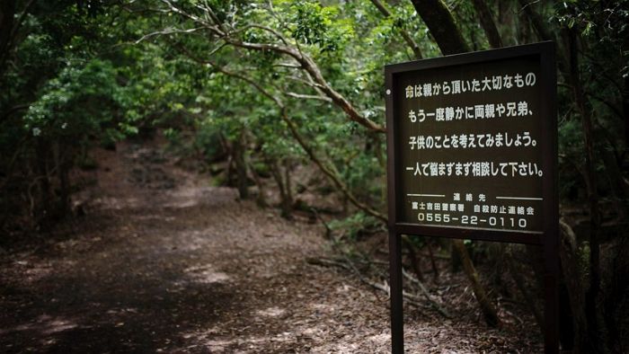 AI에게 ‘죽음의 숲’ 그려달라고 하면 이 여성이 등장합니다