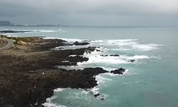 ‘日 후쿠시마 오염수 방류’ 소식에 난리 난 횟집들...“앞으로 누가 해산물 사 먹겠냐”