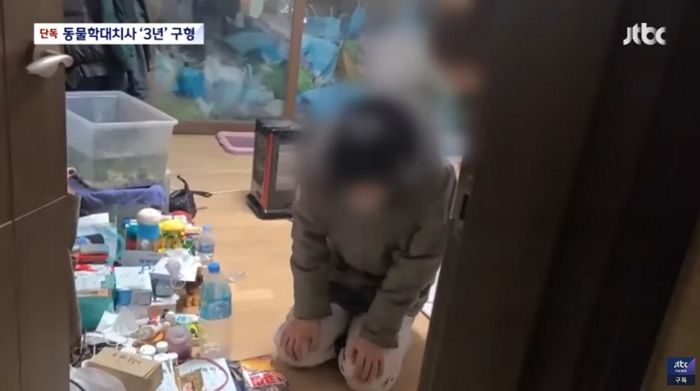 “물 먹이고, 기절하면 깨우고”...공기업 직원이 푸들만 골라 17마리를 잔인하게 죽인 이유 (영상)