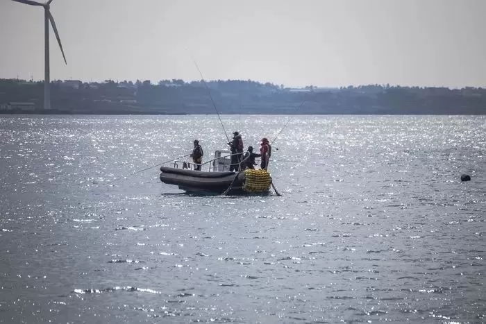 “신안서 탈출한 지적장애 ‘염전 노예’, 근로감독관이 불러준 문자 그대로 전송해 합의해”