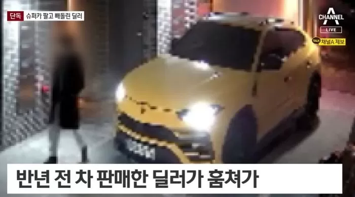 인사이트