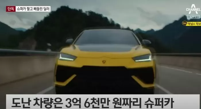 인사이트