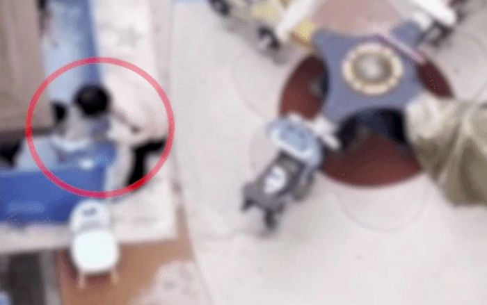 “무서워요 선생님”...겁먹고 우는 ‘4살 아이’ 물에 강제로 밀어 넣는 어린이집 교사