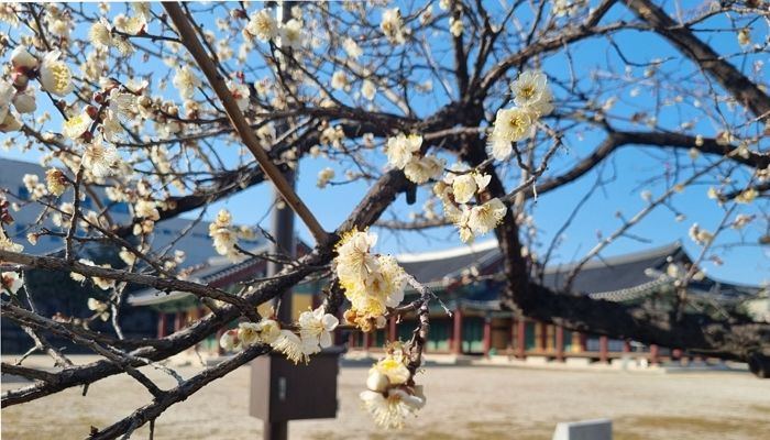 토요일인 내일(11일) 한낮 기온 26도 포근한 날씨...미세먼지는 ‘주의’