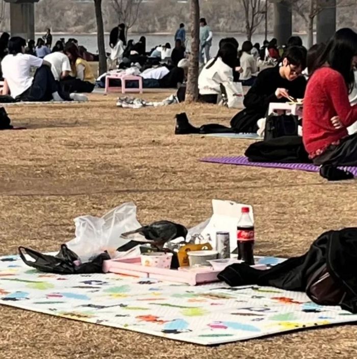 요즘 한강 가서 돗자리 펴놓고 ‘치킨·떡볶이’ 먹다가 자리 비우면 큰일 나는 이유