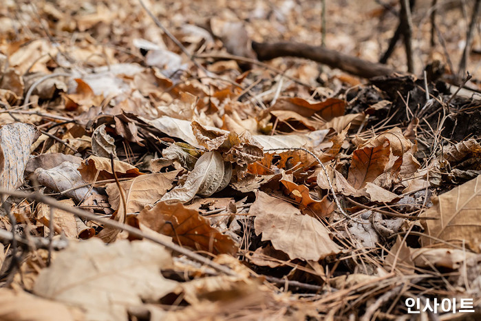 ‘9년 전 실종’ 치매 노인 백골 시신 대구시청 벽 사이에서 발견
