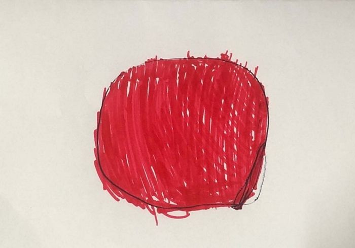 “우리 딸이 그린 일장기 아파트 전 세대에 걸자”...엄마 자랑글에 난리 난 고양시 맘카페