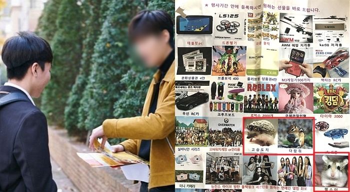 학원 등록하면 ‘다람쥐, 고슴도치’ 사은품 준다는 K-학원의 근황