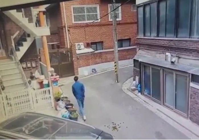 집앞 골목길서 얼룩말 ‘세로’ 우연히 마주친 시민의 자연스러운 빽무빙 (+영상)