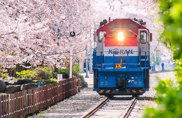 윤석열 정부, 숙박쿠폰·상품권 통 크게 푼다...“국내여행 즐기세요”