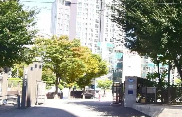 인사이트