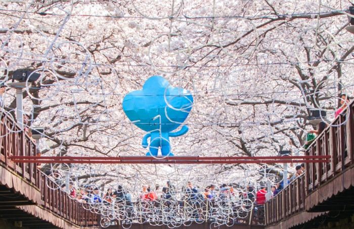 “파전 2만원, 바비큐 5만원”...물가 장난 아니다 말 나온 ‘진해 군항제’ 장터