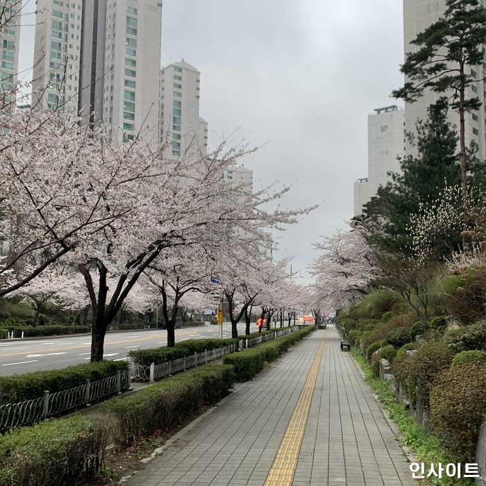 만우절인 내일(1일) 낮 최고 27도 ‘따뜻’...거짓말 같은 미세먼지 몰아친다