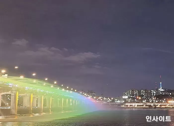인사이트