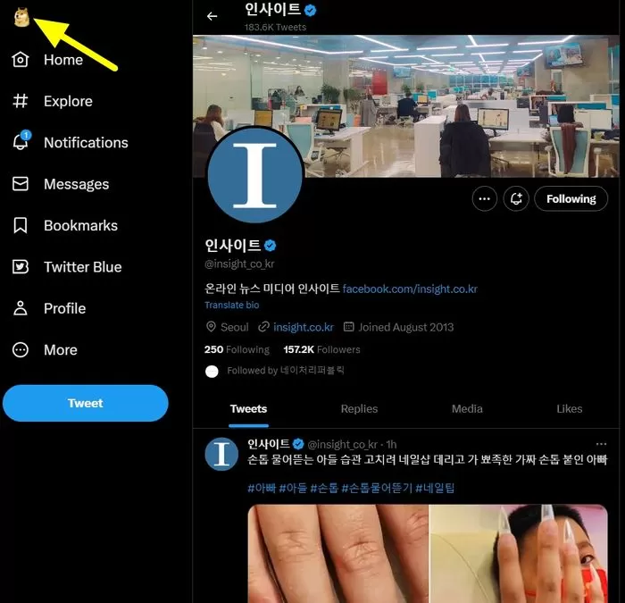 인사이트