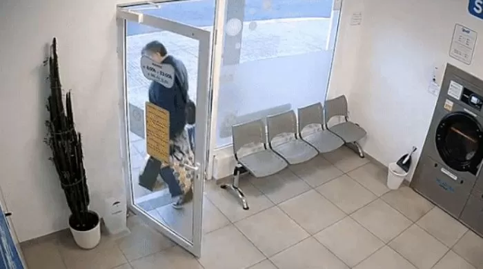 인사이트
