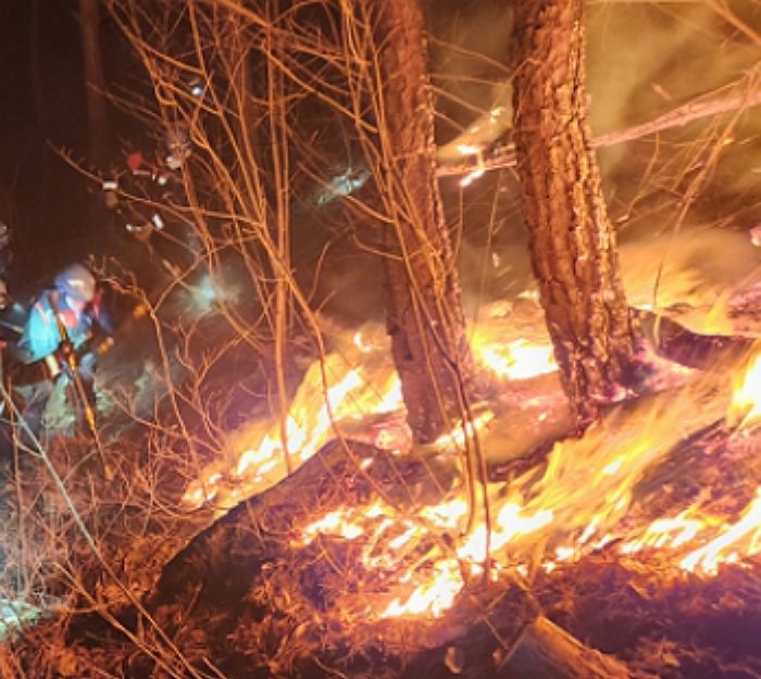 산불보다 영어 듣기평가가 더 중요...30분간 진화작업 중단한 전남 지자체