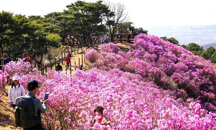 “감기 조심하세요”...월요일인 내일(10일), 일교차 15도까지 벌어진다