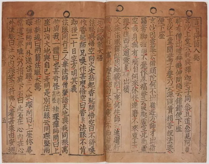 인사이트
