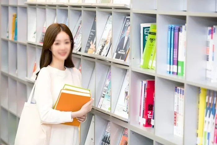 인사이트