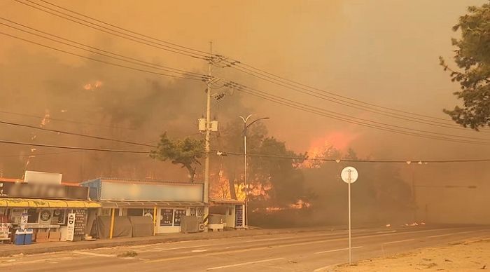 강릉 산불 첫 사망자 발생...전소된 주택서 80대 노인 숨진 채 발견