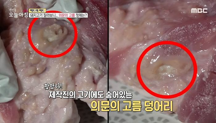 육군훈련소에 납품됐다는 ‘악취·피고름’ 돼지고기...비주얼 찾아본 사람들이 헛구역질 한 이유
