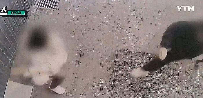 ‘아줌마’라 부르자 격분해 야구방망이 들고 집에 찾아와 휘두른 27살 여직원 (영상)
